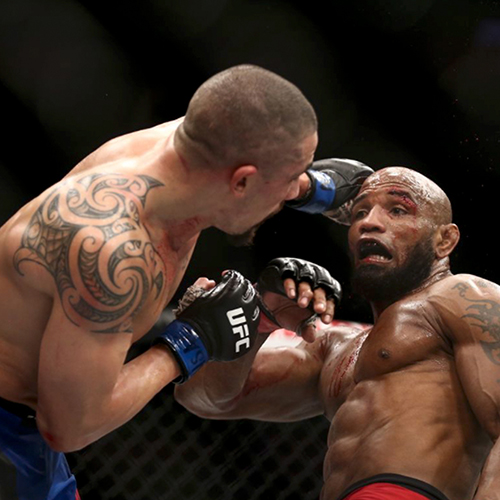Whittaker vs Romero II - UFC 225
