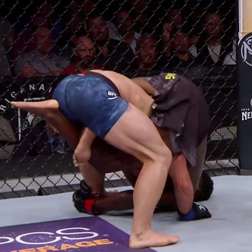 Aljamain sterling vs cody stamann