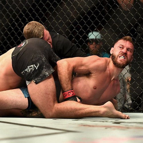 donald cerrone vs mike perry