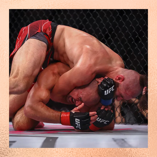 Jiri Prochazka vs Glover Teixeira